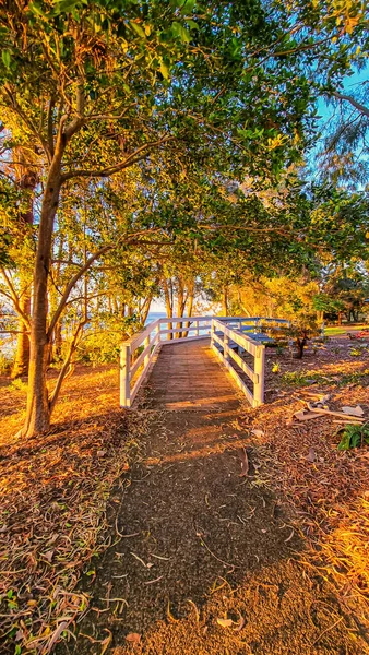 Herfst Landschap Met Kleurrijke Bomen Bladeren — Stockfoto