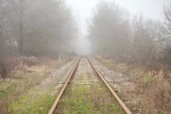 Ormanda Demiryolu Rayları — Stok fotoğraf