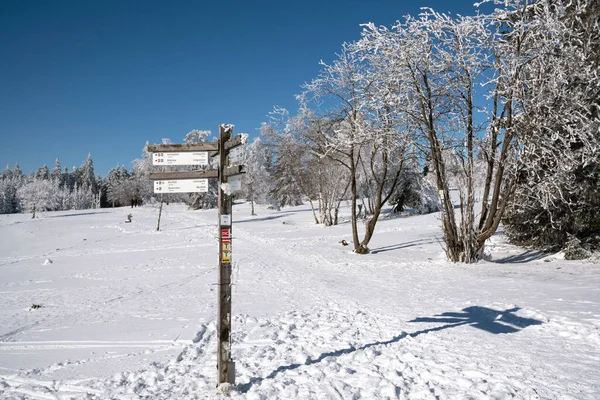 Zimní Krajina Zasněženými Stromy Modrou Oblohou — Stock fotografie