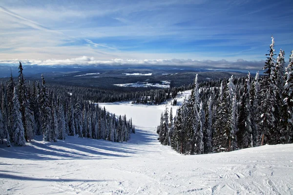 Peisaj Iarnă Copaci Acoperiți Zăpadă — Fotografie, imagine de stoc