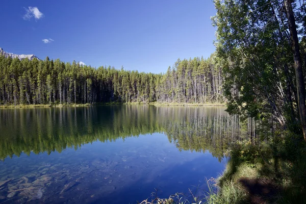 Krásné Jezero Lese Cestování Místo Pozadí — Stock fotografie