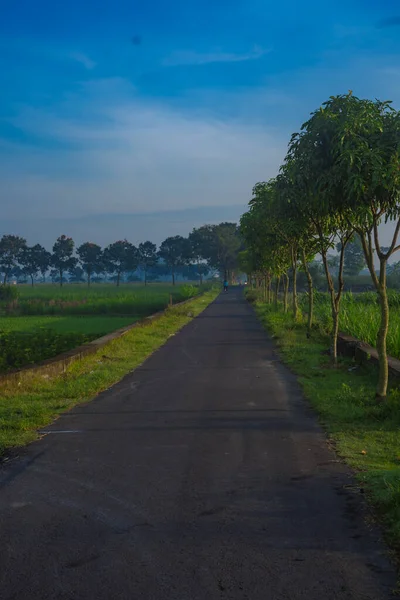 农村的道路 — 图库照片