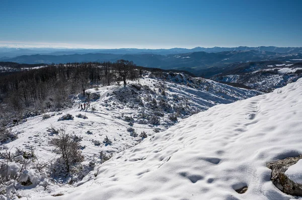 Schöne Landschaft Der Karpaten Winter — Stockfoto