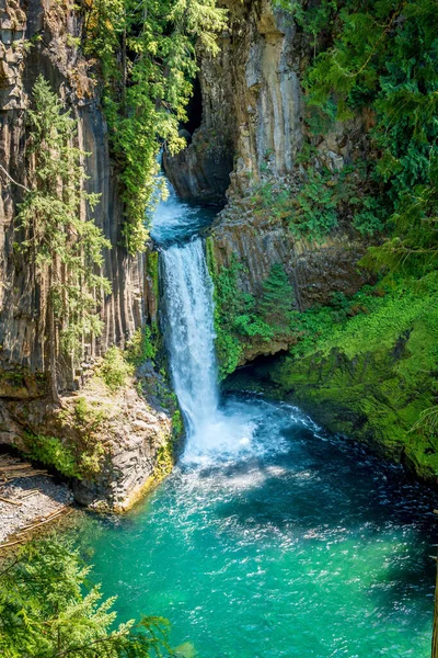 Waterfall Forest — Stock Photo, Image