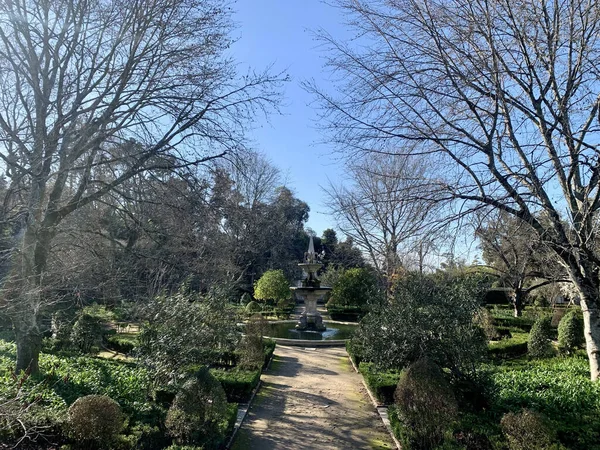 Prachtig Uitzicht Het Park Stad — Stockfoto