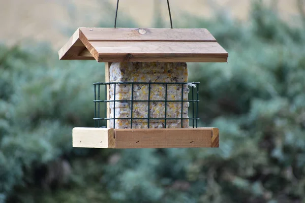 Houten Birdhouse Tuin — Stockfoto