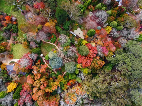 Güzel Bir Tropikal Ormanın Havadan Görünüşü — Stok fotoğraf