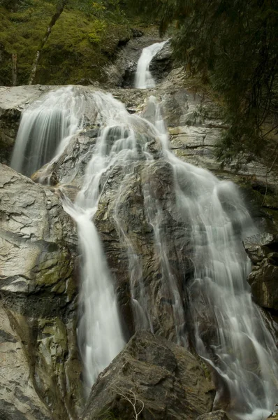 Cascada Bosque — Foto de Stock