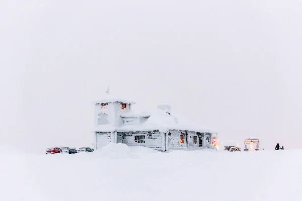 Зимний Пейзаж Заснеженными Деревьями — стоковое фото