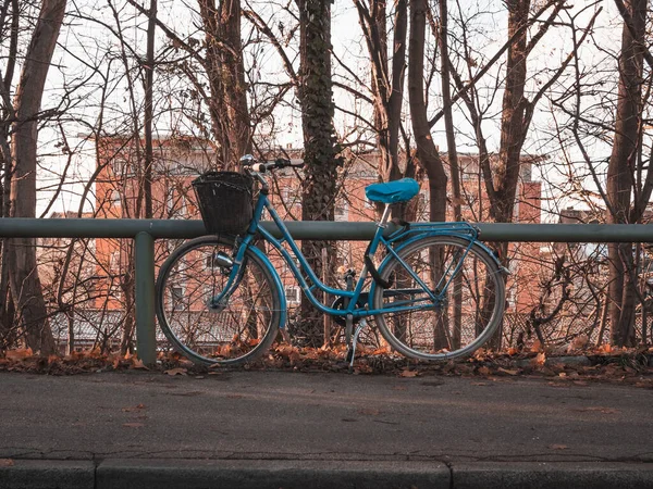 Велосипед Припаркован Парке — стоковое фото