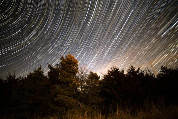 Mooie Nachthemel Met Sterren Bomen — Stockfoto