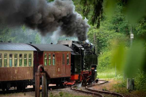 Locomotiva Vapor Com Trem — Fotografia de Stock