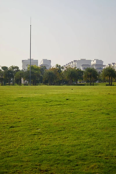 Herbe Verte Arbres Dans Parc — Photo