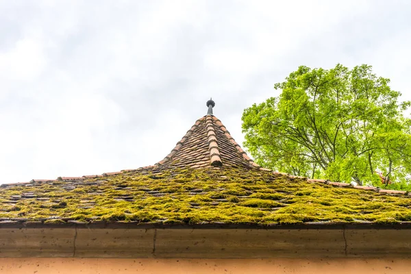 Bela Vista Sobre Cidade Com Casas Edifícios Tradicionais Alemães — Fotografia de Stock