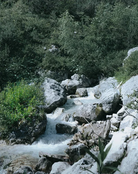 Hermosa Cascada Bosque —  Fotos de Stock