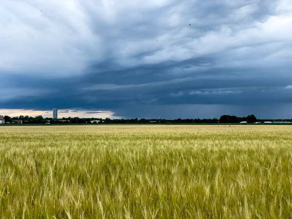 Piękny Krajobraz Polem Pszenicy Zachmurzone Niebo — Zdjęcie stockowe