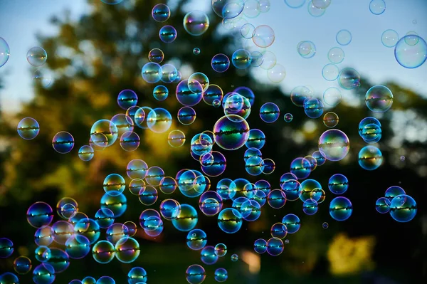 Soap Bubbles Water Close — Stock Photo, Image