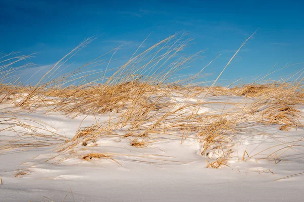 Prachtig Landschap Met Witte Zandduinen — Stockfoto