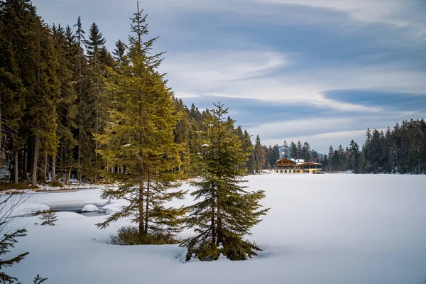 Paisaje Invernal Con Árboles Nieve —  Fotos de Stock