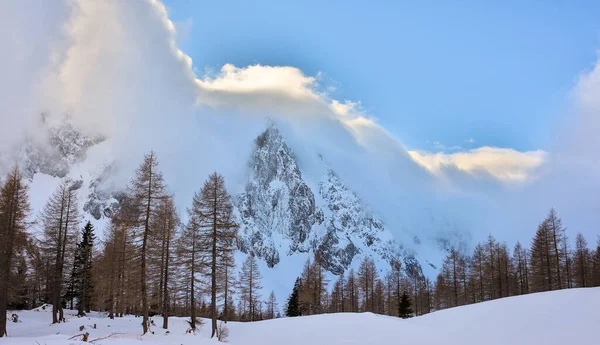 Prachtig Winterlandschap Met Besneeuwde Bomen — Stockfoto