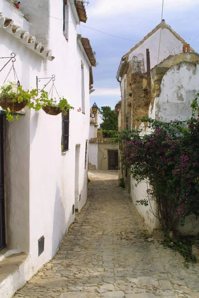 Hermosa Calle Casco Antiguo Obidos Portugal — Foto de Stock