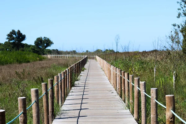 Holzbrücke Strand — Stockfoto