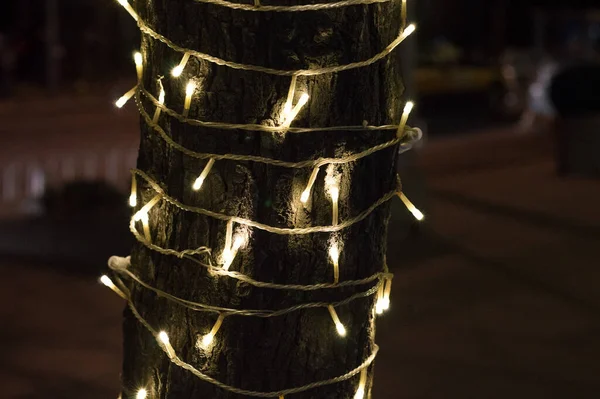 Ağaçtaki Işıkları Kapat — Stok fotoğraf