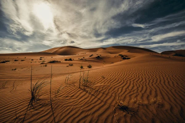 Vacker Utsikt Över Sanddyner Selektivt Fokus — Stockfoto