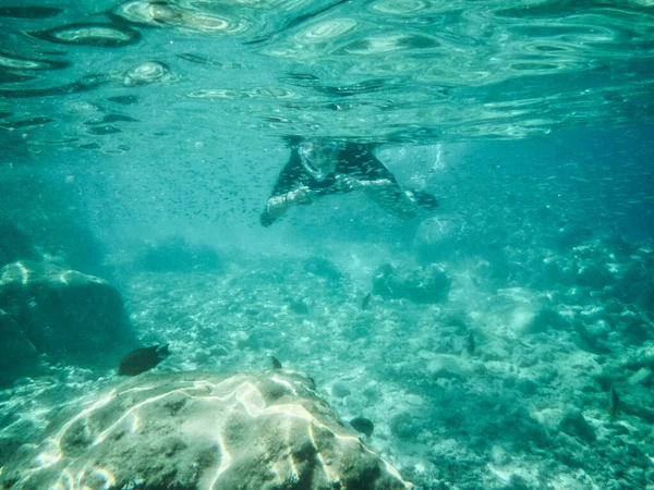 Underwater Scene Beautiful Tropical Water — Stock Photo, Image