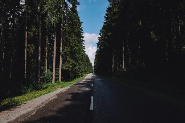 Дорога Лісі — стокове фото