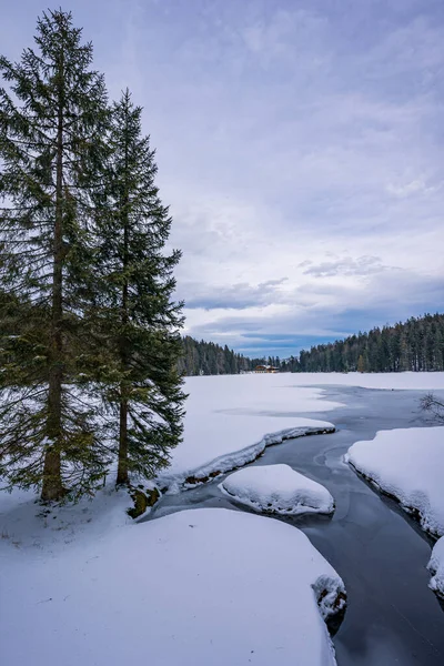 Beautiful Winter Landscape Snow Trees — Stock Photo, Image
