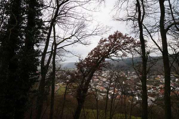 Gyönyörű Kilátás Nyílik Erdőre — Stock Fotó