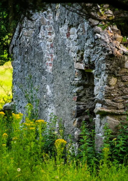 Viejo Muro Piedra Con Musgo Liquen — Foto de Stock