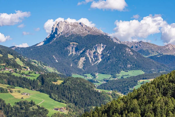 Úžasná Horská Krajina Zelenými Stromy — Stock fotografie