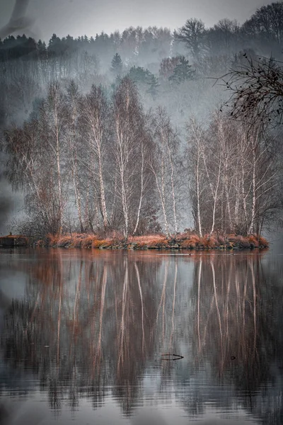 Красивый Пейзаж Озером Деревьями — стоковое фото