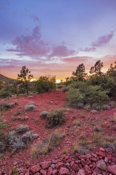 Prachtig Landschap Met Bomen Een Rode Lucht — Stockfoto