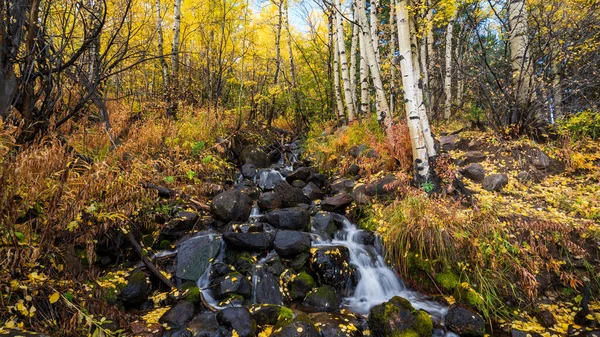 Krásný Podzimní Les Horách — Stock fotografie