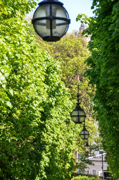 Green Leaves Background Building — Stock Photo, Image