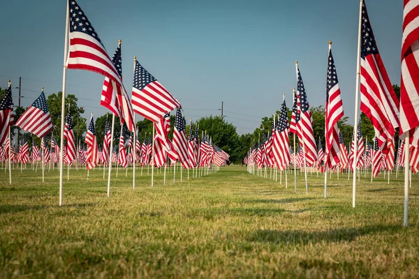 Flagg Från Amerikas Förenta Stater — Stockfoto