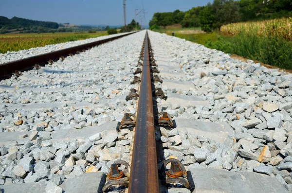 Yoldaki Demiryolu Rayları — Stok fotoğraf
