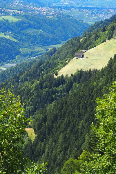 Vanuit Lucht Uitzicht Bergen Het Bos — Stockfoto