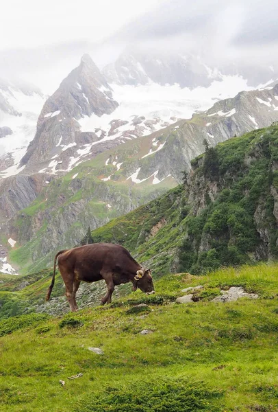 Bela Paisagem Com Uma Gama Montanhas — Fotografia de Stock