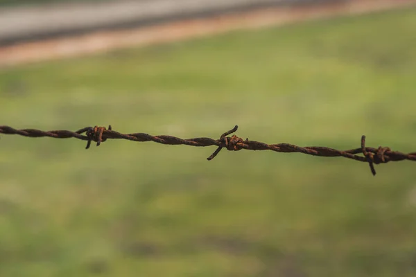 柵の上の鉄条網 — ストック写真