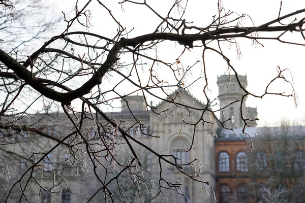 Stary Drewniany Płot Parku — Zdjęcie stockowe