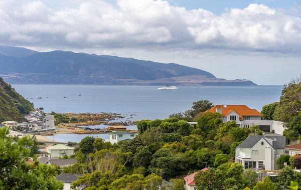 Vista Ciudad Isla Nueva Zelanda —  Fotos de Stock