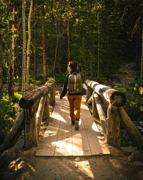 Muž Zelené Bundě Kráčí Lesem — Stock fotografie