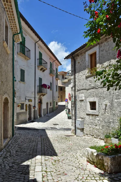 Eski Şehir Kotor Dar Bir Sokak Monthe Gro — Stok fotoğraf