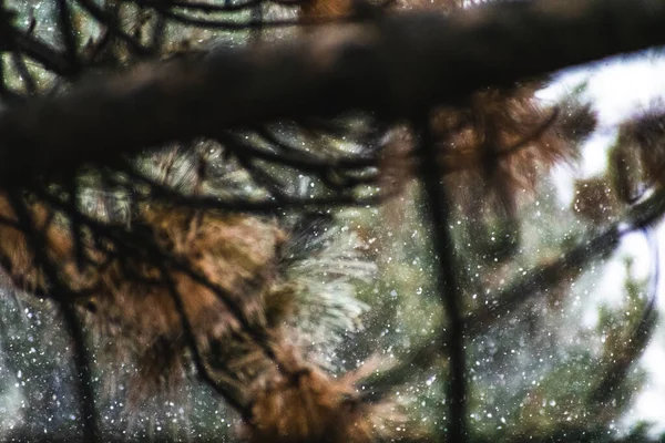 Fond Abstrait Avec Des Lumières Bokeh — Photo