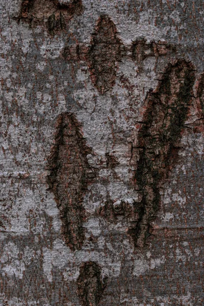 Старая Ржавая Металлическая Текстура — стоковое фото