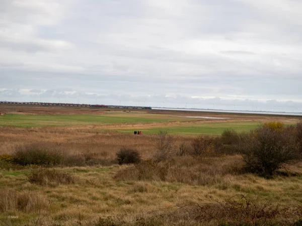 Hermoso Paisaje Con Campo Trigo Cielo Nublado —  Fotos de Stock